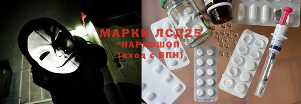 шишки Дмитровск