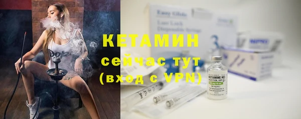 шишки Дмитровск