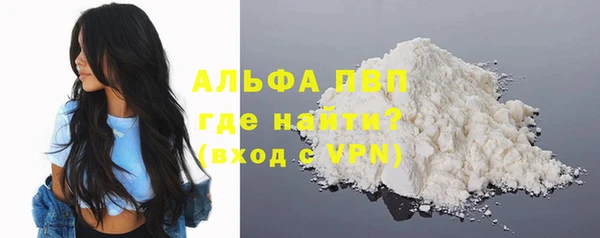 шишки Дмитровск