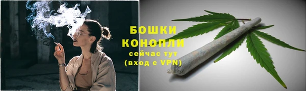 шишки Дмитровск