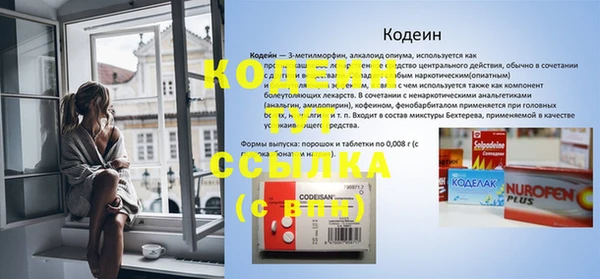 шишки Дмитровск