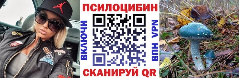 Купить где  Луза  Галлюциногенные грибы Psilocybe 