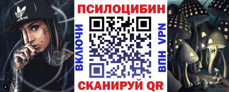 Псилоцибиновые грибы Psilocybe Луза